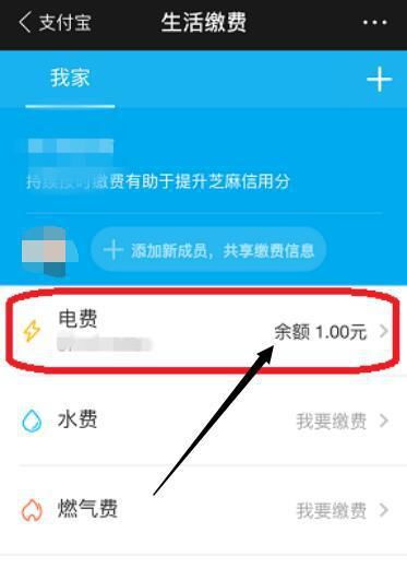 支付宝缴电费后，如何在线查询电费余额——网络技术应用指南