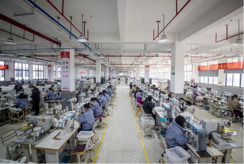 2023首届河南睢县鞋博会 以网络技术赋能，开启鞋业新篇章